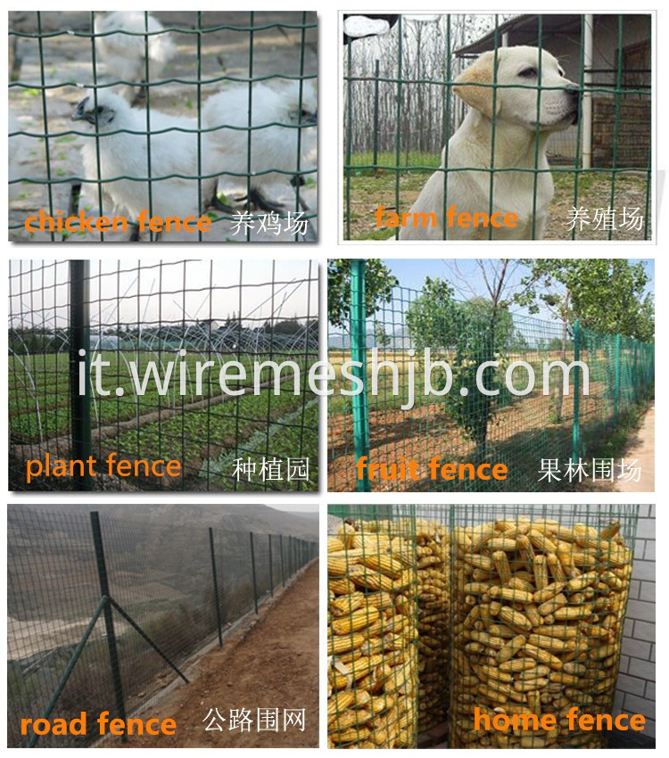 Holland Welded Wire Mesh Application 